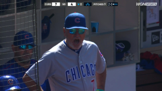 Joe Maddon Shamelessly Reams Out Umpire Without Getting Tossed